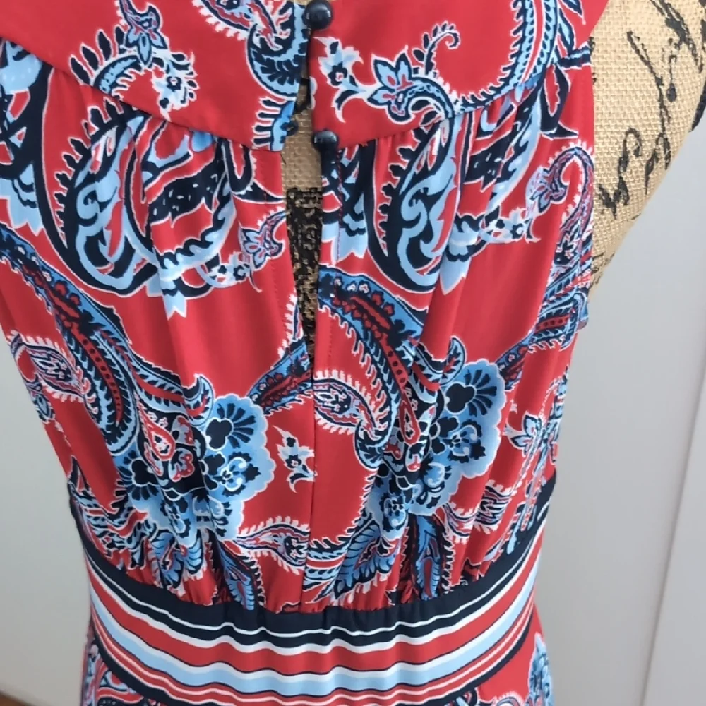 Roz & Ali Red and Blue Paisley Maxi Dress - Picture 4 of 5